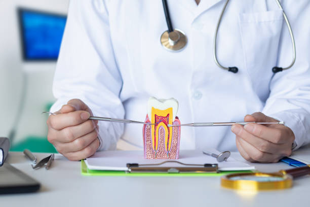 Best Same-Day Emergency Dental Services in Lake Tapps, WA